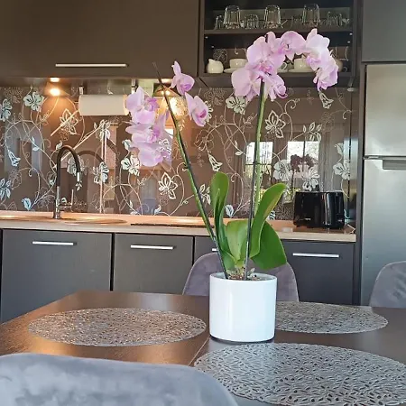 Ferienhaus Diament Rogowo *