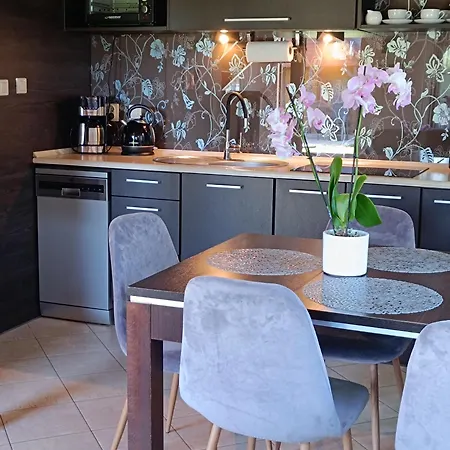 Diament 펜션 로고보