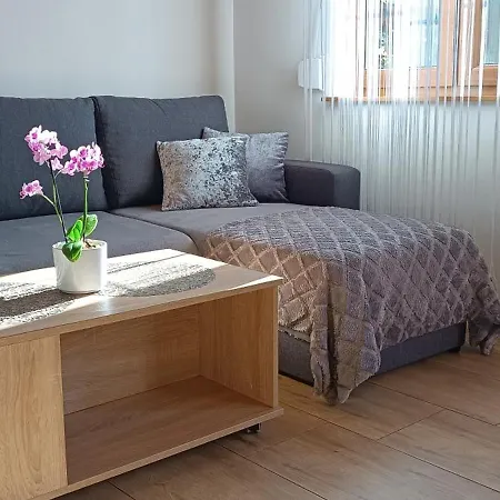 Ferienhaus Diament Rogowo *
