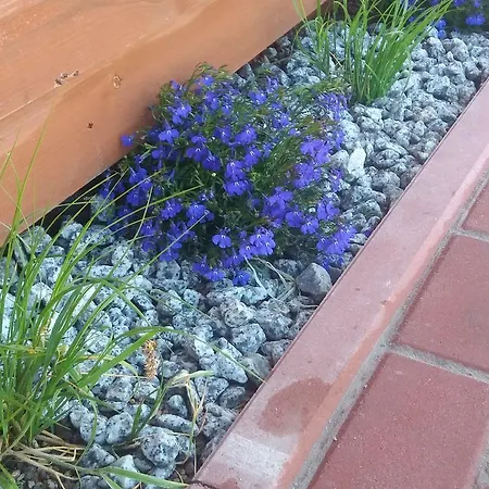 Diament * Rogowo (Gryfice)